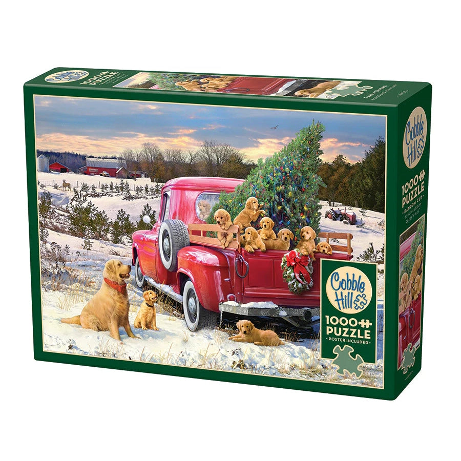 Family Outing - Jigsaw 1000pc - Brain Spice