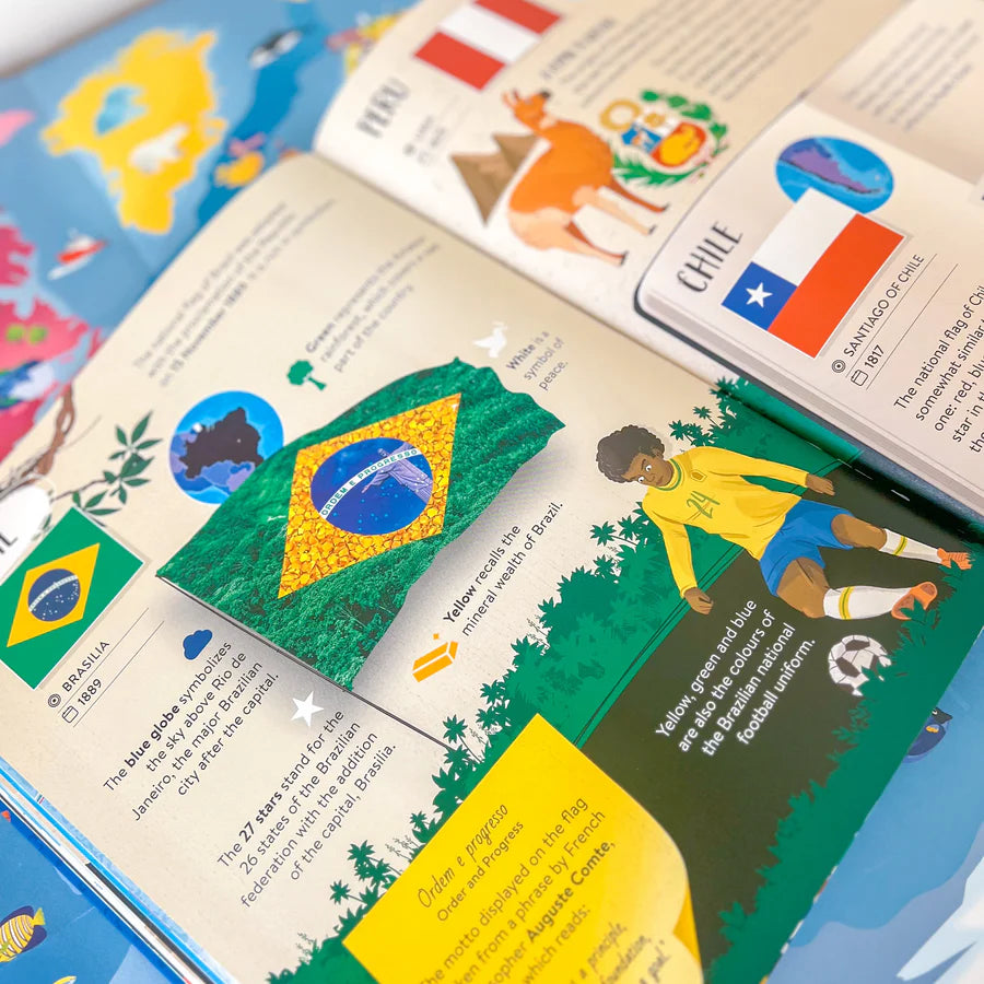 Flags Book & Poster Set - Sassi How What & Why
