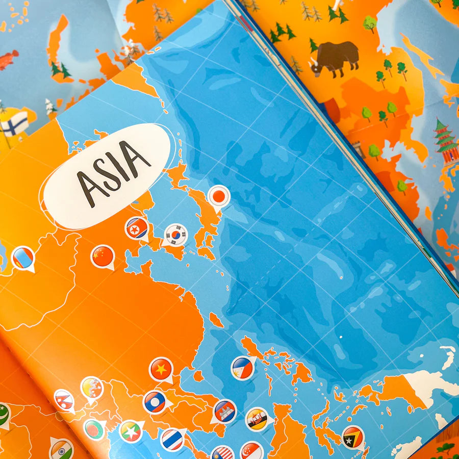 Flags Book & Poster Set - Sassi How What & Why