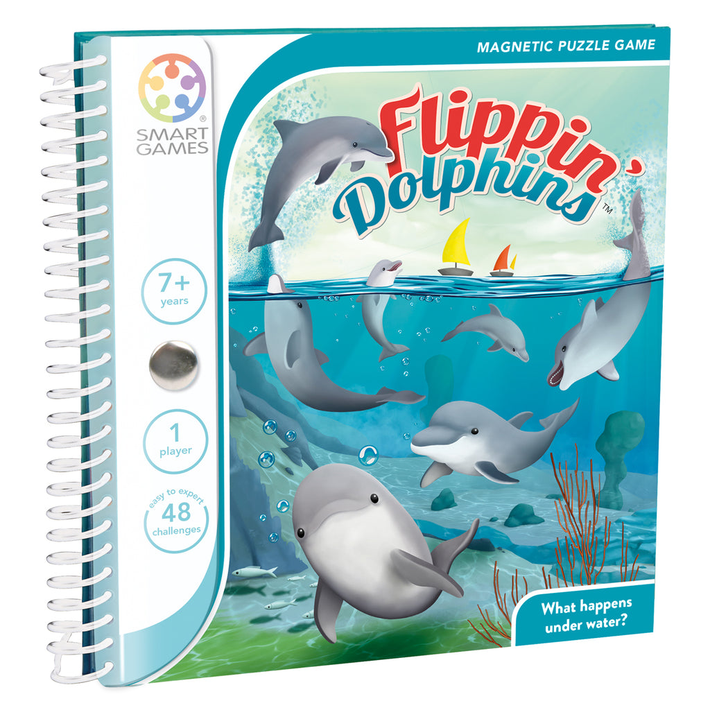 Flippin Dolphins - Magnetic Travel - Brain Spice