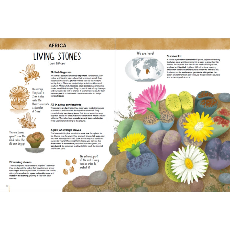 Flora of the World - Sassi Atlas of Biodiversity - Brain Spice