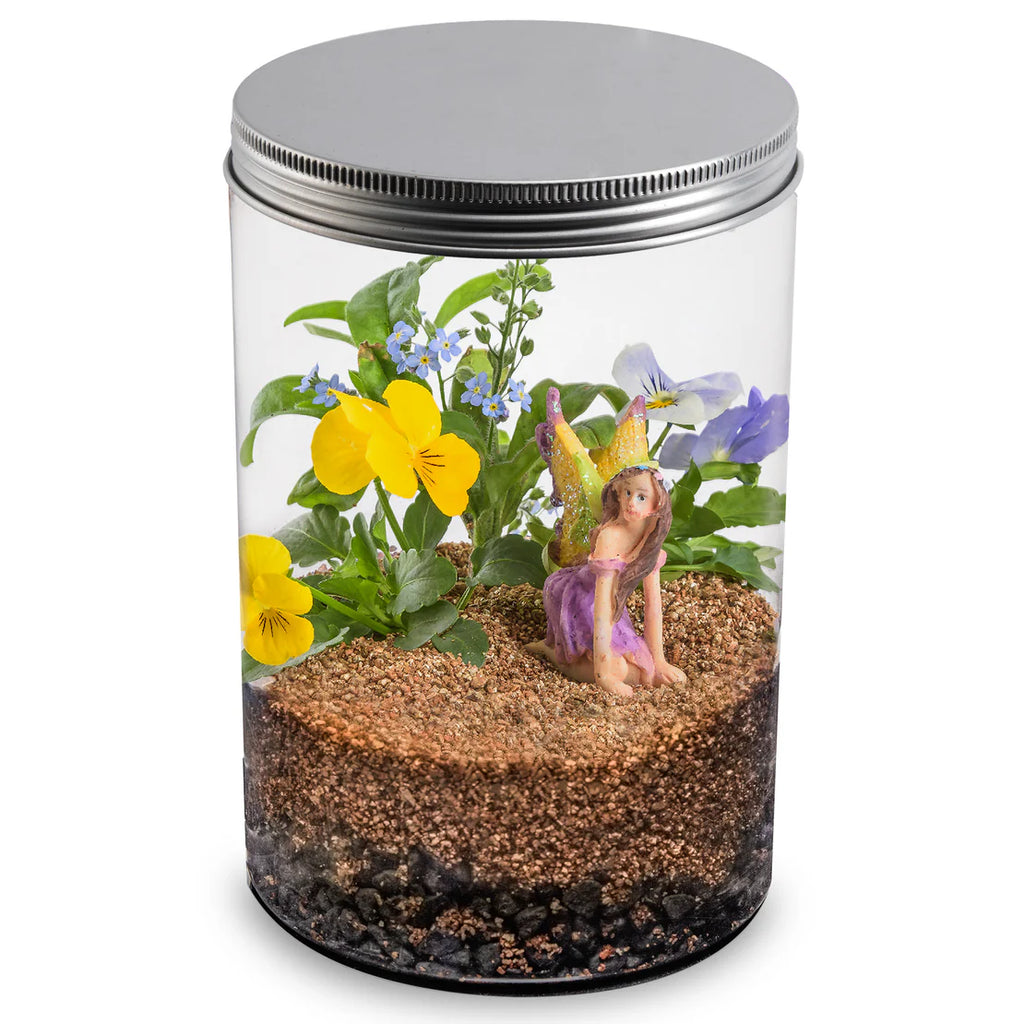 Flower Fairy Tarrarium - Brain Spice