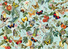 Fruit and Flutterbies - Jigsaw 1000pc - Brain Spice