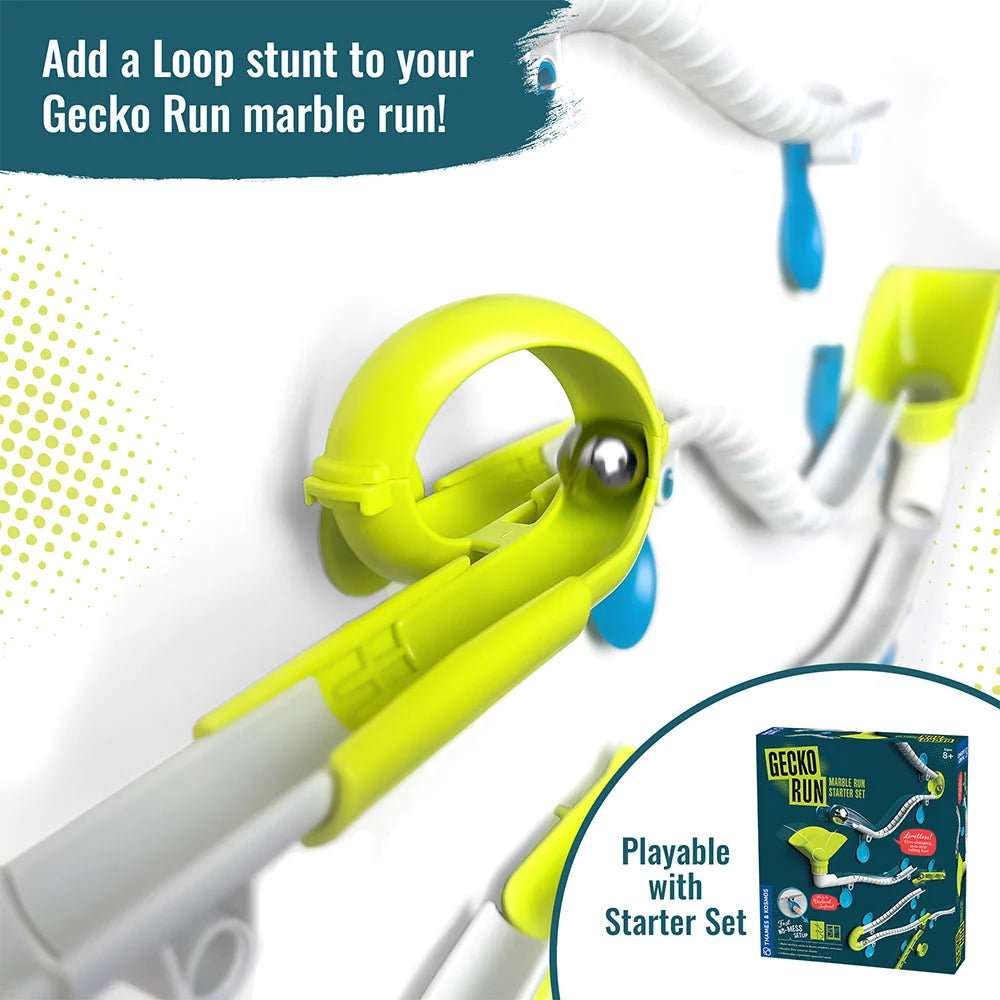 Gecko Run Looping - Brain Spice
