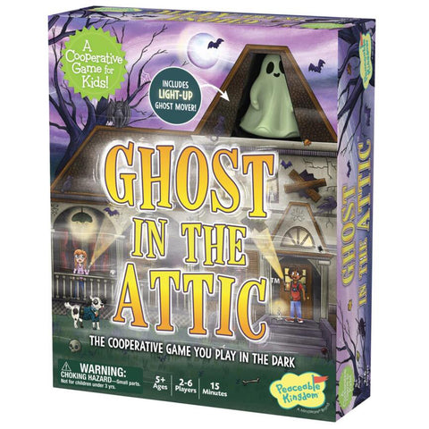 Ghost in the Attic - Brain Spice