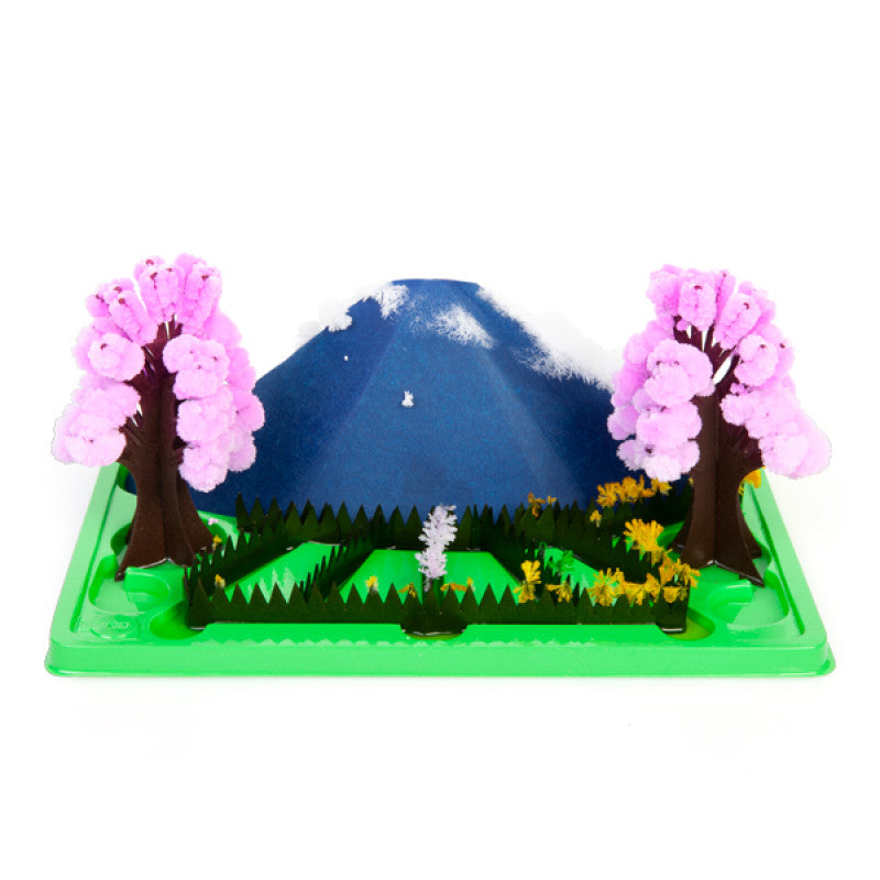 Grow a Magic Garden - Brain Spice