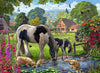 Hadlow Ponies - Jigsaw 500pc - Brain Spice