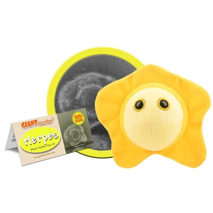 Herpes - Giant Microbe - Brain Spice