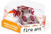 Hexbug Fire Ant - Brain Spice