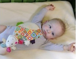 Huguette the Goat Blanket - Brain Spice