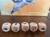 Wingspan Oceania Expansion - Stonemaier Games - Brain Spice