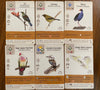 Wingspan Oceania Expansion - Stonemaier Games - Brain Spice