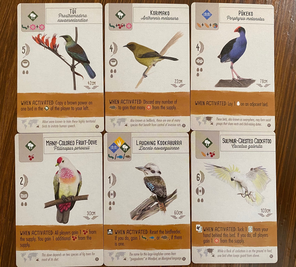Wingspan Oceania Expansion - Stonemaier Games - Brain Spice