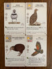 Wingspan Oceania Expansion - Stonemaier Games - Brain Spice