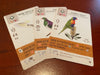 Wingspan Oceania Expansion - Stonemaier Games - Brain Spice