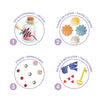 In Wonderland Fairy Tale to Decorate Set - Brain Spice