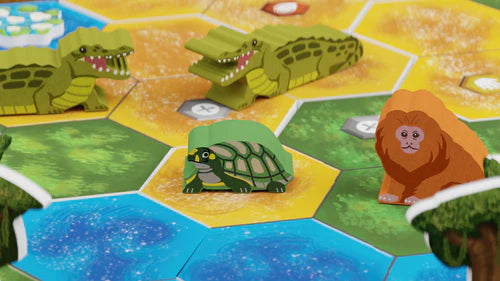 Life of the Amazonia - Brain Spice