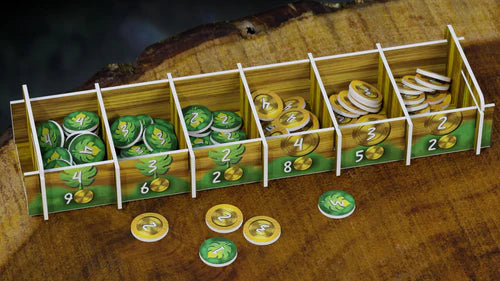 Life of the Amazonia - Brain Spice