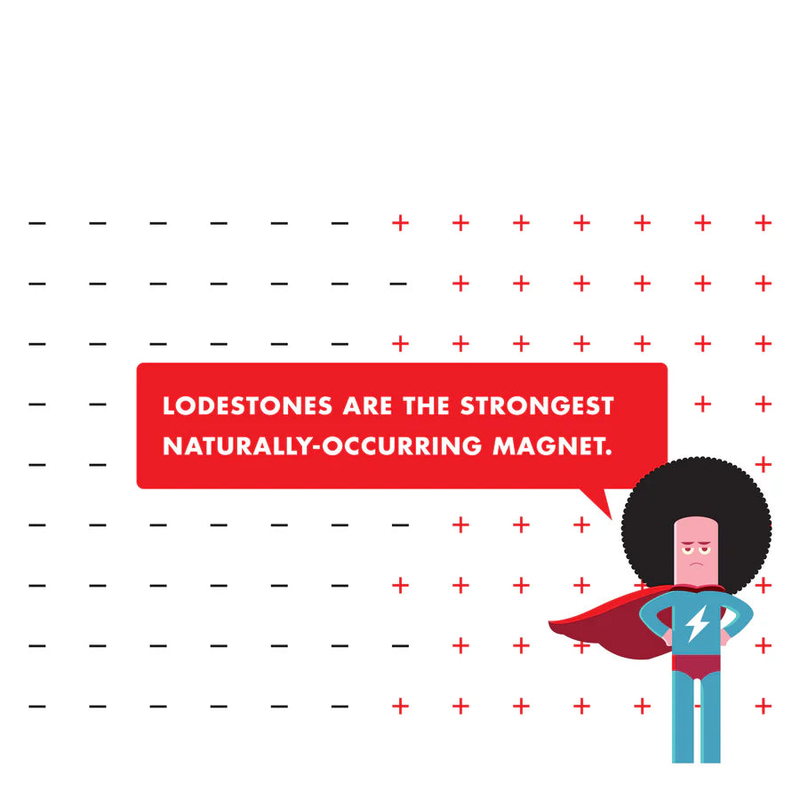 Lodestone Mineral - Brain Spice