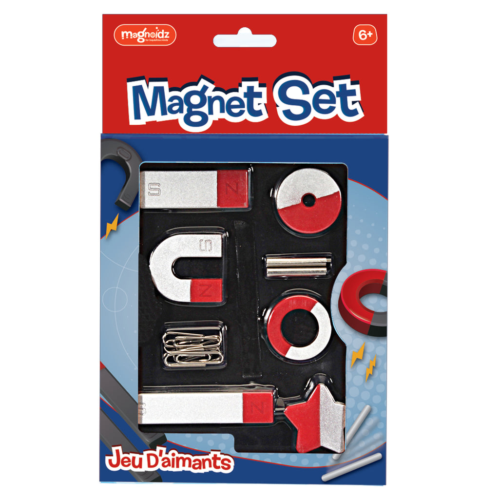 MAGNOIDZ Magnet Set - Brain Spice