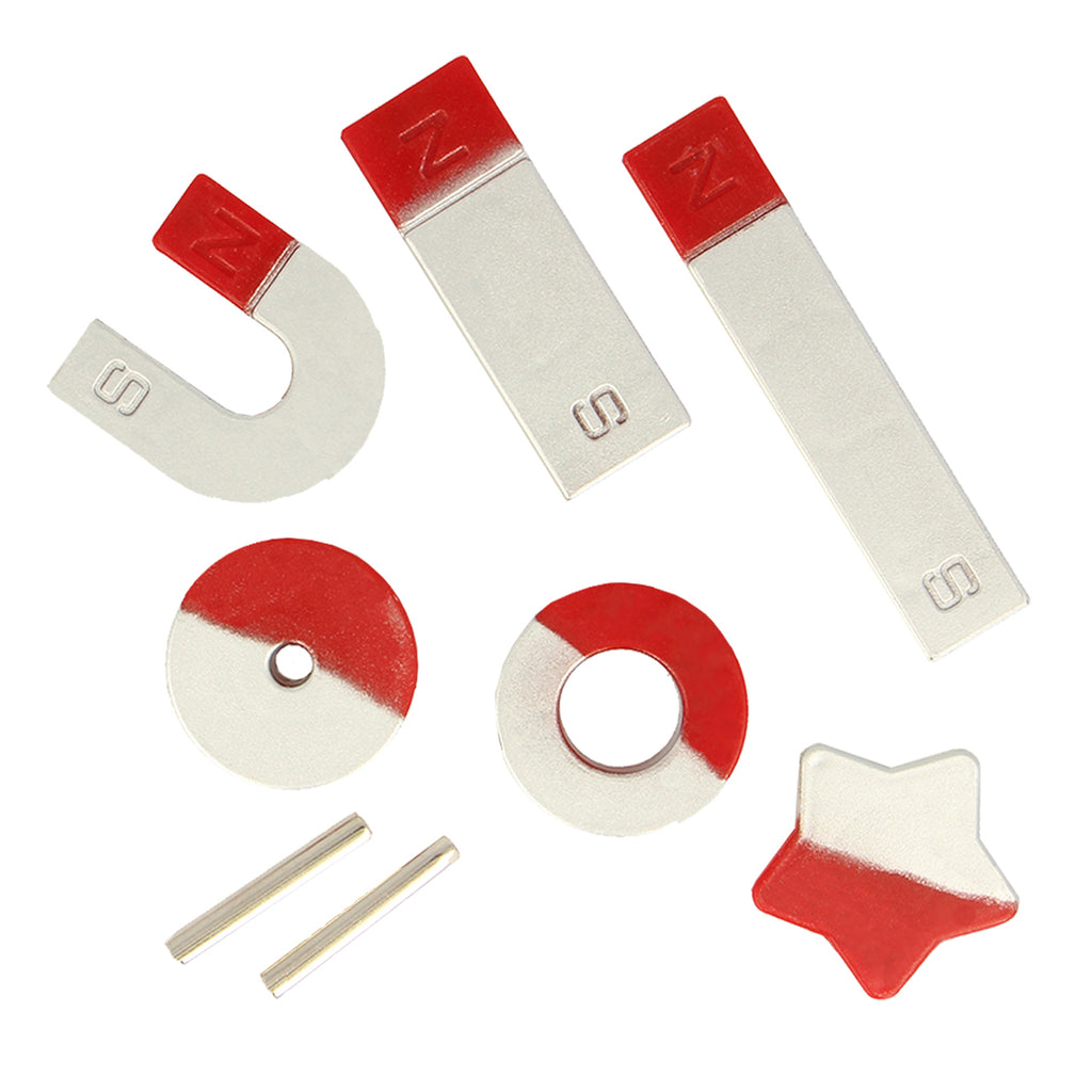 MAGNOIDZ Magnet Set - Brain Spice