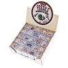 Magnified Fossils Box - Brain Spice