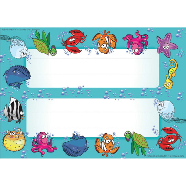 Marine - Name Plates - Brain Spice