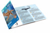 Mosasaurus - Sea Monsters Excavation Kit - Brain Spice