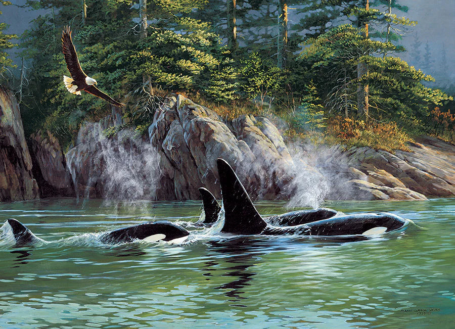 Orcas - Jigsaw 1000pc - Brain Spice