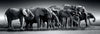 Panoramic Herd of Giants - Jigsaw 1000pc - Brain Spice