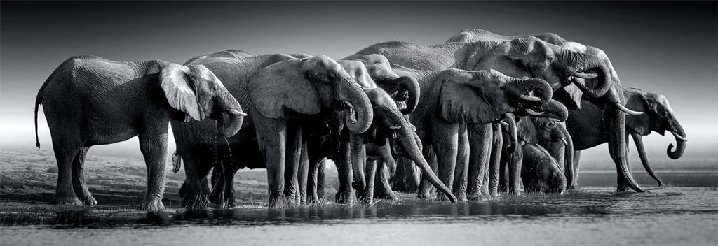 Panoramic Herd of Giants - Jigsaw 1000pc - Brain Spice