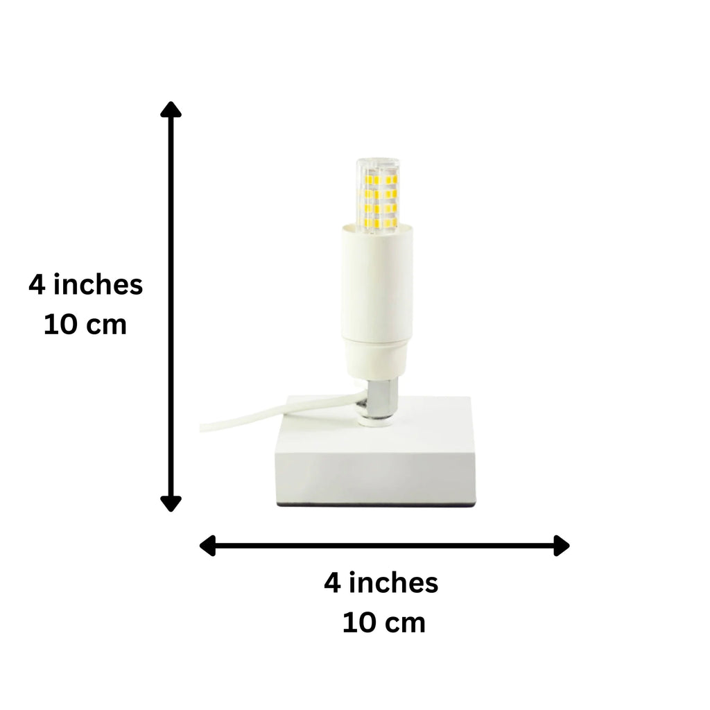PaperCraft Lamp Accessory - Brain Spice