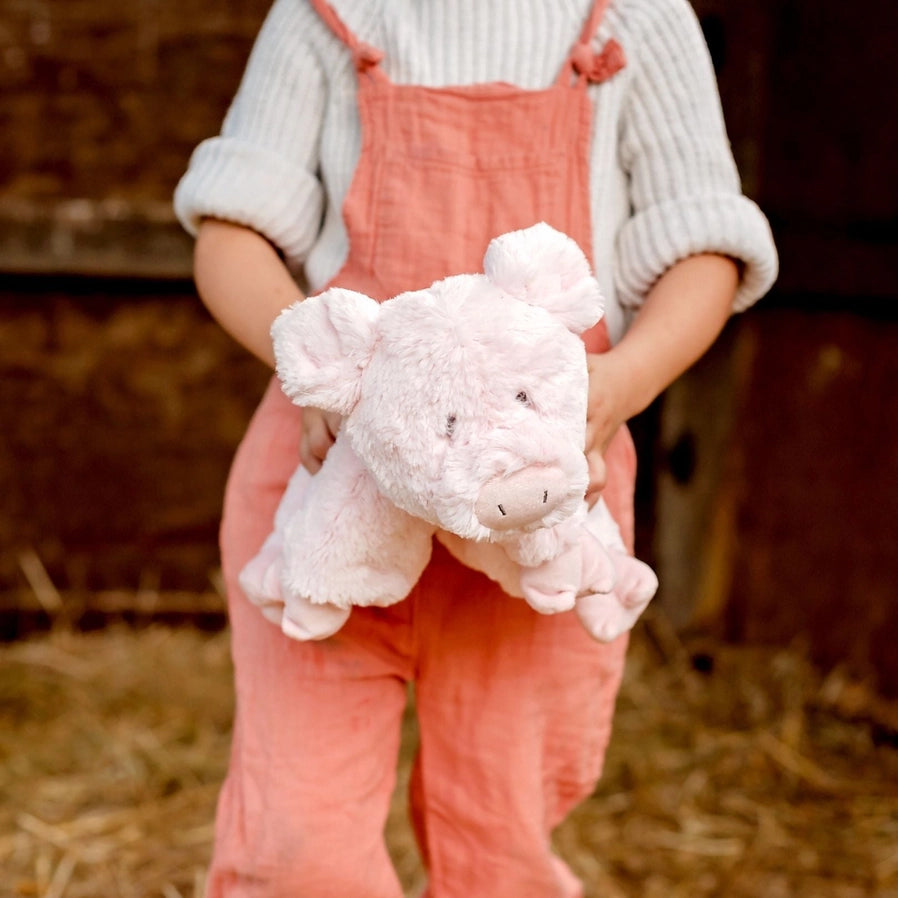 Peachy Pig Soft Toy (Medium) - Brain Spice