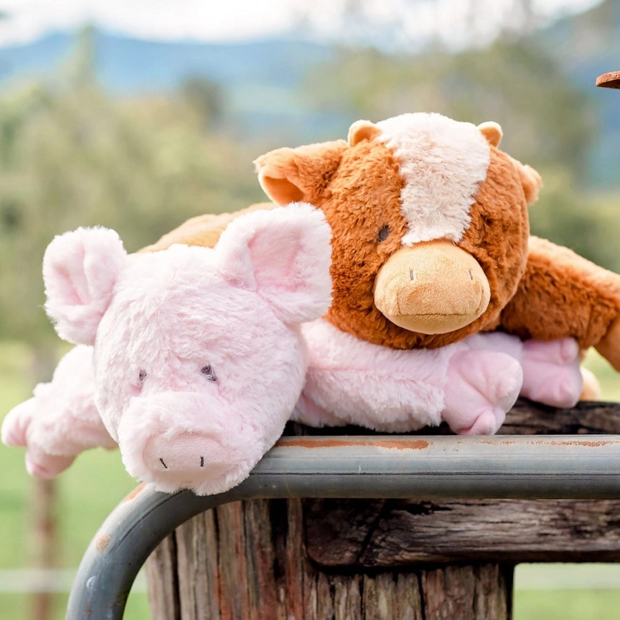 Peachy Pig Soft Toy (Medium) - Brain Spice