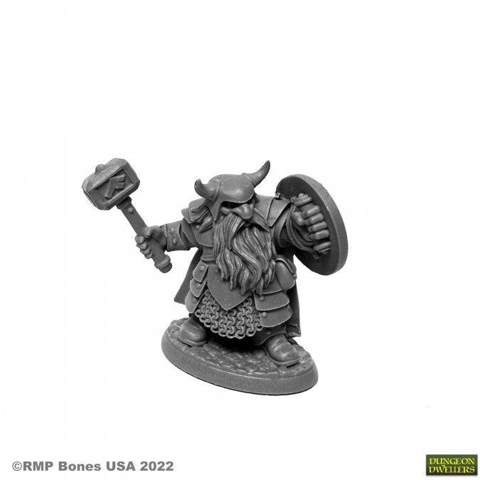Borin Ironbrow - Dwarf Adventurer (plastic) - Brain Spice