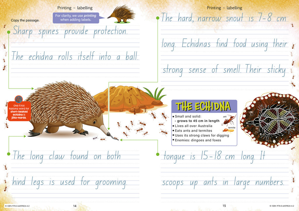 Reflective Handwriting - Brain Spice