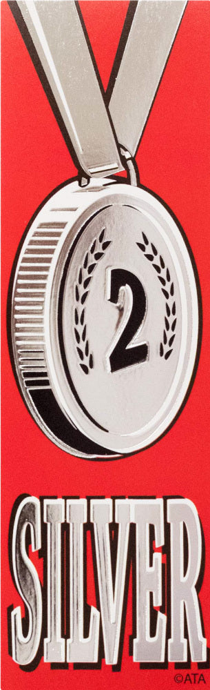 Silver - 2 - pk 20 vinyl ribbons - Brain Spice