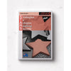 STARS PLUS Teachers Guide - Brain Spice