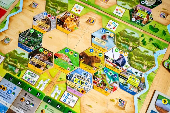 Sanctuary - an Ark Nova Game - Brain Spice