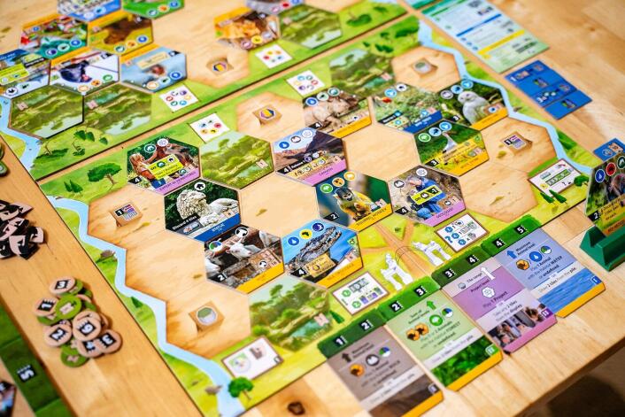 Sanctuary - an Ark Nova Game - Brain Spice