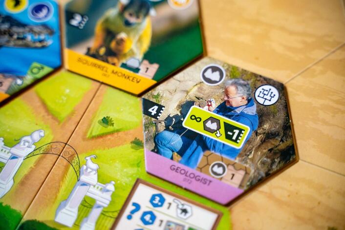 Sanctuary - an Ark Nova Game - Brain Spice