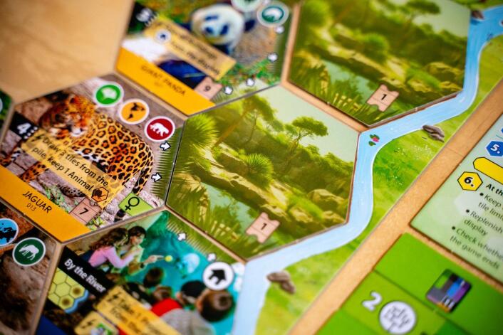 Sanctuary - an Ark Nova Game - Brain Spice