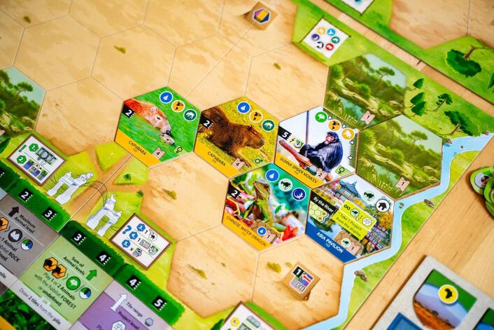 Sanctuary - an Ark Nova Game - Brain Spice