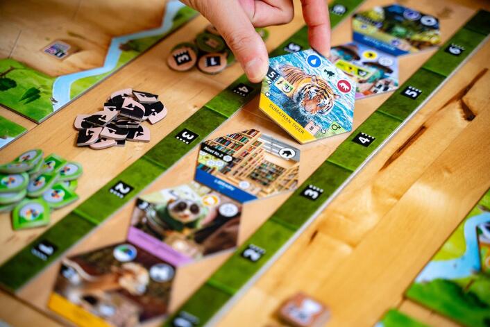 Sanctuary - an Ark Nova Game - Brain Spice