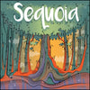 Sequoia - Brain Spice