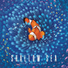 Shallow Sea - Brain Spice