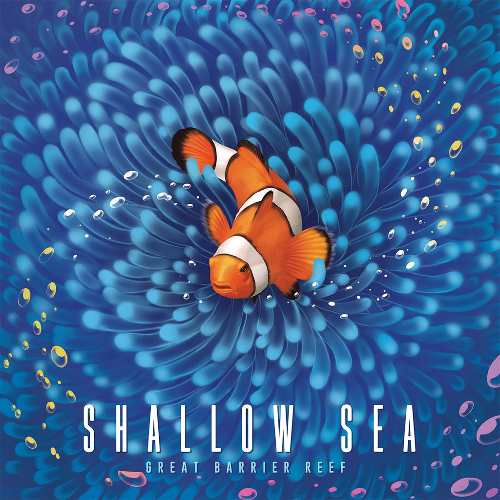 Shallow Sea - Brain Spice