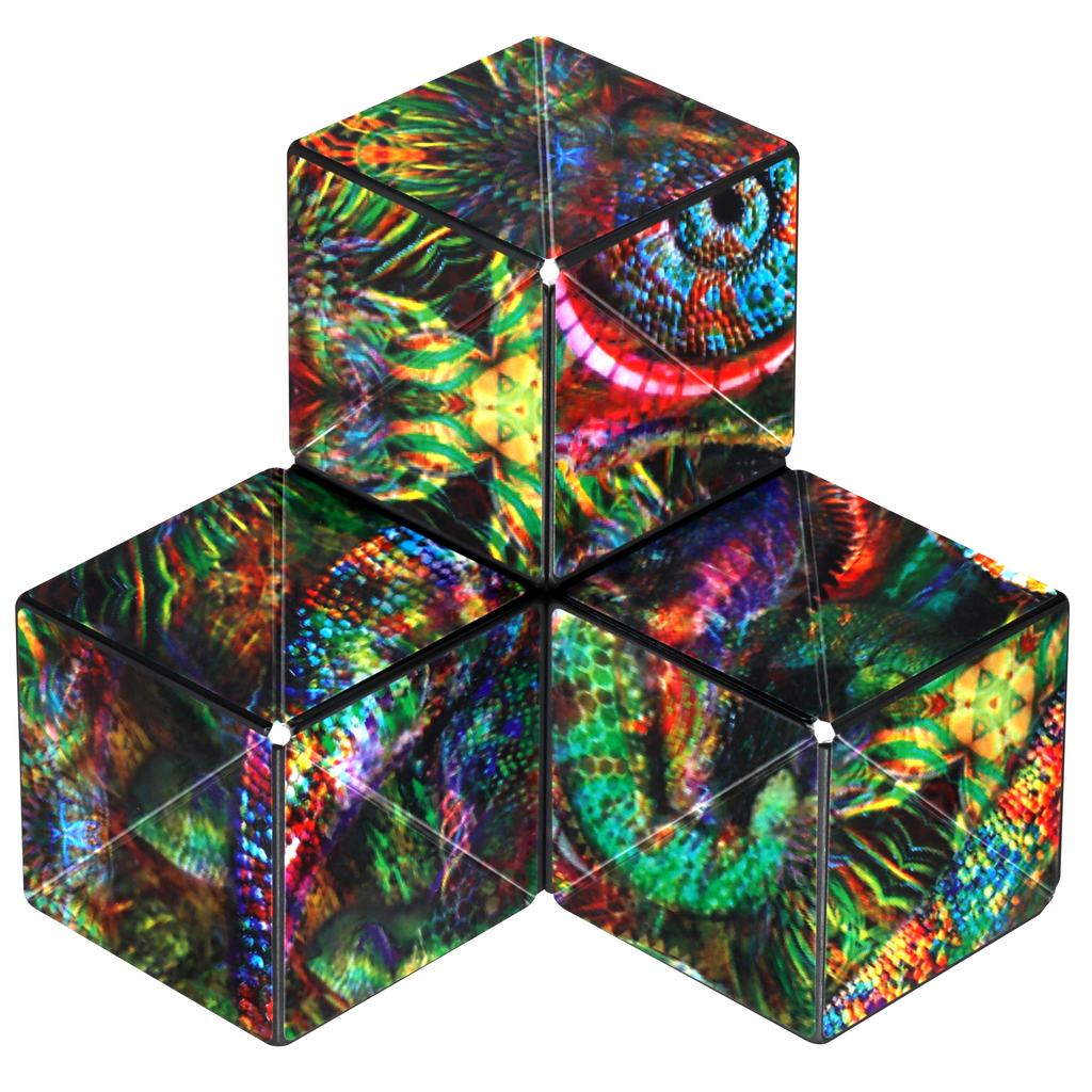 Shashibo Cube - Chameleon - Brain Spice