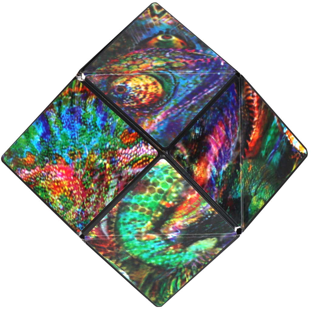 Shashibo Cube - Chameleon - Brain Spice