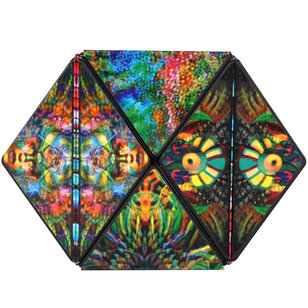 Shashibo Cube - Chameleon - Brain Spice